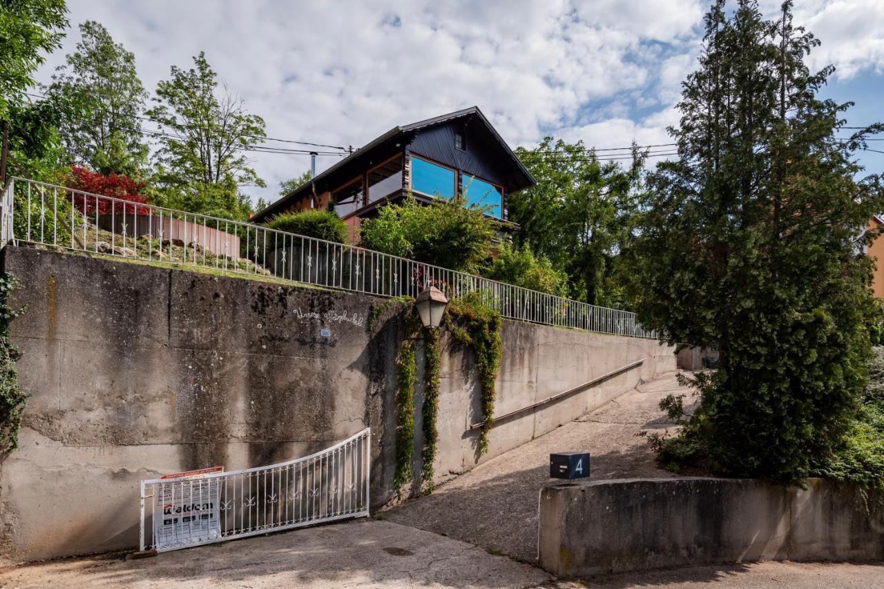 Villa Le Grand Nichoir De La Colline - Parking - Wifi à Mutzig Extérieur photo