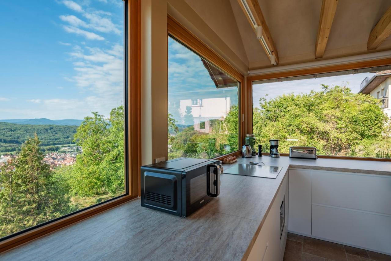 Villa Le Grand Nichoir De La Colline - Parking - Wifi à Mutzig Extérieur photo